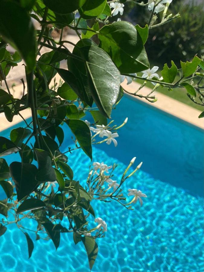 Beautiful Villa With Pool, Barbecue, And Garden Javea Ngoại thất bức ảnh